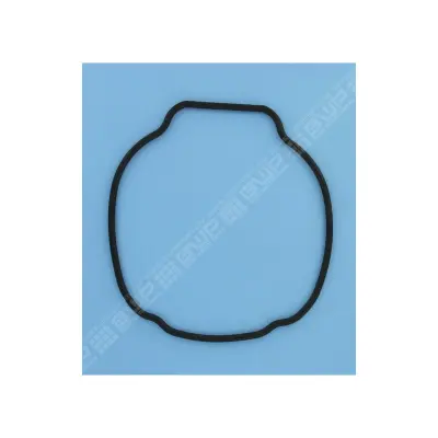 Joint de corps PPE TriStar (HAYWARD)