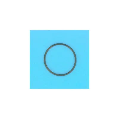 Joint de Coude Supérieur O-RING  (filtre DE (S7D75. S8D110) -  (STA-RITE)