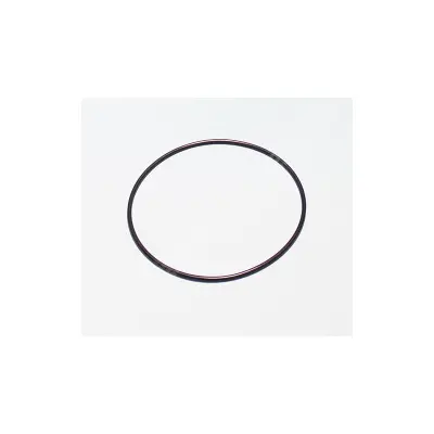 Joint de couvercle 147x4 Triton AM / vanne E-27-2027 / adaptateur R155225 - (PENTAIR)