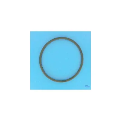 Joint de couvercle Ø150 mm pour FILTRE SAB Jupiter. Galatic et Titan 6'' - 101D010 (SNTE)