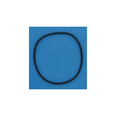 Joint de couvercle 170,8 x 5,66 pour FILTRE SAB Aplister, Corona, Millenium - Remplace 4404080101, 720G1750057
