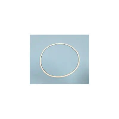 Joint de couvercle 8" FSAB Micron/SM