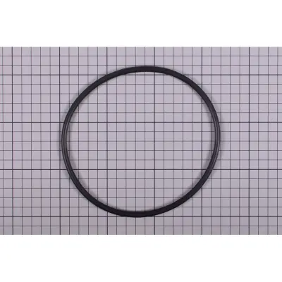 Joint de couvercle de préfiltre PPE Europa - Remplace HD021005, 06054R0003, CE05010063