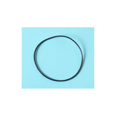 Joint de couvercle de vanne (SM 10) - 1"1/2 (ex 05.0041)