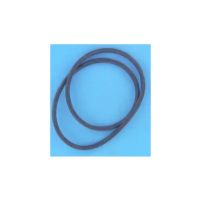 Joint de Couvercle FILTRE KT Star Clear + - torique -  (HAYWARD)