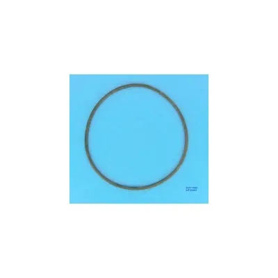 Joint de Couvercle FILTRE SAB (GM140. S0200S) -  (HAYWARD)