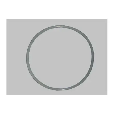 Joint de couvercle Jupiter CE04020030, Vesubio, Filclair/Filclar, Florida II