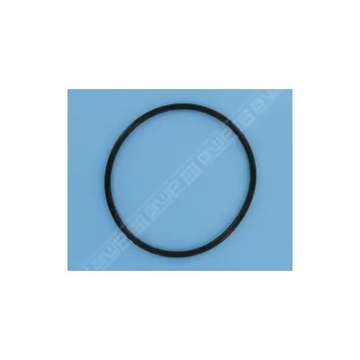 Joint de couvercle PPE 5P6R/SW5P6R/Intelliflo SW5P6R-VS - 35505-1440 (STA-RITE)