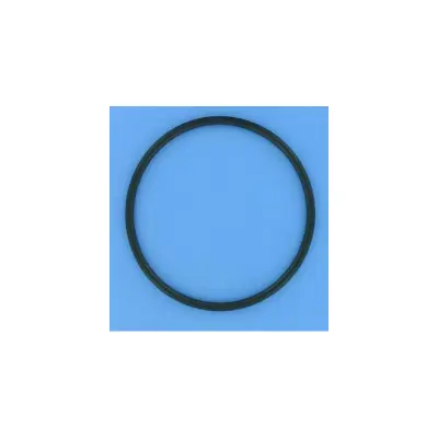 Joint de couvercle PPE Astral Glass 1''1/2 160 mm