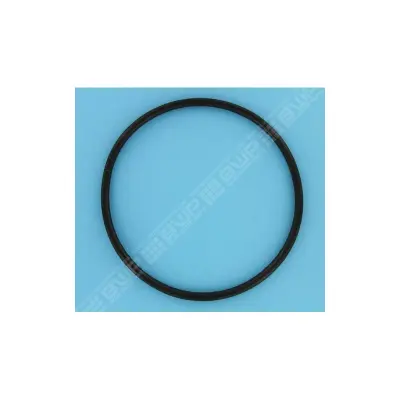 Joint de couvercle PPE Astral Glass 2'' diam. ext. 190 mm