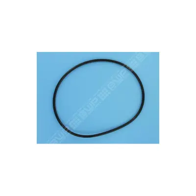 Joint de cuve Filtre Posi-Clear PXC75/95/125/150 (STA-RITE)