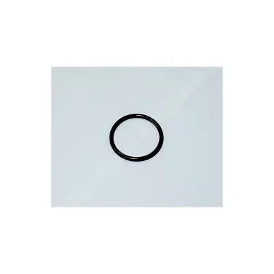 Joint de diffuseur pompe Tristar (Hayward)