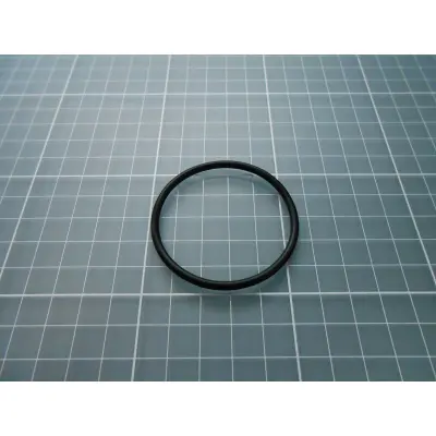 Joint de diffuseur PPE Bering 0.50 à 0.75 CV (Astralpool)
