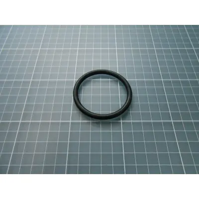 Joint de diffuseur PPE Bering 1.00 CV (Astralpool)