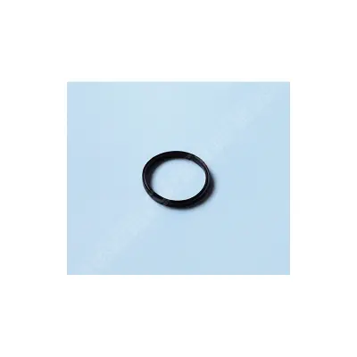 Joint de Diffuseur PPE (Super Pump. Max-Flo. Super II)) -  (HAYWARD)