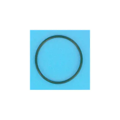 Joint de Diffuseur PPE Ultraflow (PENTAIR)