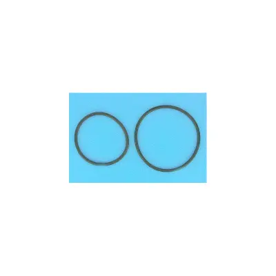 Joint de Soupape FILTRE DE Pro Grid (HAYWARD)