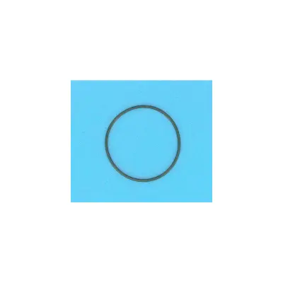 Joint de Traversée FILTRE DE (FNS+.Clean & Clear+.FNS) - 67mm  (PENTAIR)