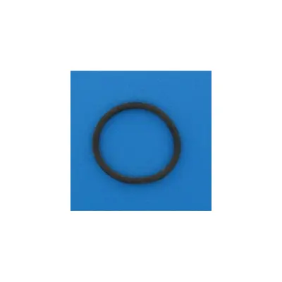 Joint de Traversée FILTRE DE (FNS+. Clean & Clear+. Quad) (PENTAIR)