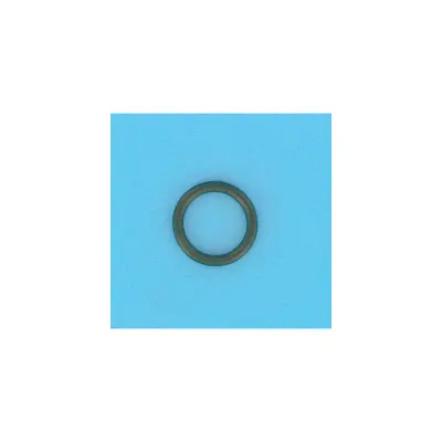 Joint Ecrou de Serrage FILTRE KT Star Clear + -  (HAYWARD)