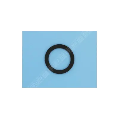 Joint Ecrou Plat Arrière BOR 3310 Pour Panneaux - COFIES (HAYWARD)
