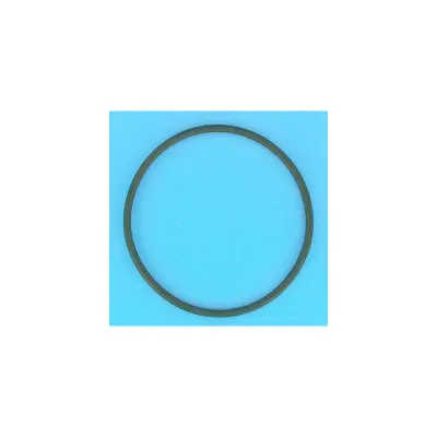 Joint torique 123,2x5,8 mm de vanne 1"1/2 Top Tagelus/Azur 19" et 24" (PENTAIR)