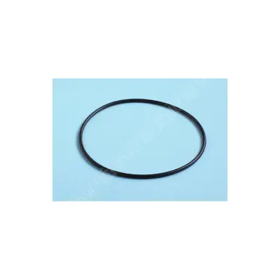 Joint Torique 164,5 x 4,8 mm pour vanne 2" (E-27-2029) TRITON Sup./TAG (PENTAIR)
