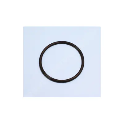 Joint torique de préfiltre PPE Power-Flo II (HAYWARD)