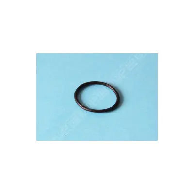 Joint torique de raccord PPE Bering 0.25 à 0.33 CV - Remplace HZS200250NO6 (Astralpool)