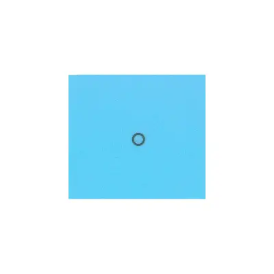 Joint torique pour soupape de ventilation Filtre KT Dynamic. Doseur auto HD (PENTAIR)