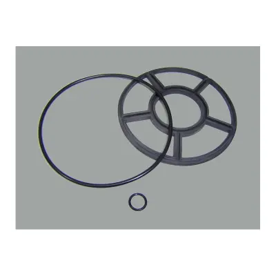 Joint Vanne 1"1/4 (ASTRAL) - REMPLACE 07435R0203