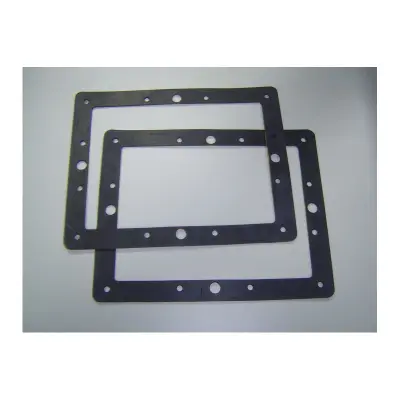 Joints de bride pour Skimmer PM (x2)