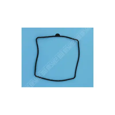 Joints de couvercle PPE ND (x10) (PSH)