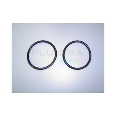 Joints toriques de raccord de sortie D.66.04x5.3 (x2) - Remplace FEC723-0660053