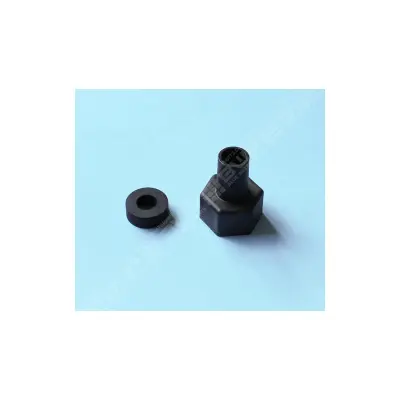 Kit Bouchon porte-sonde PH et Sel + Joint 25882R0014 -REMPLACE 100048-01