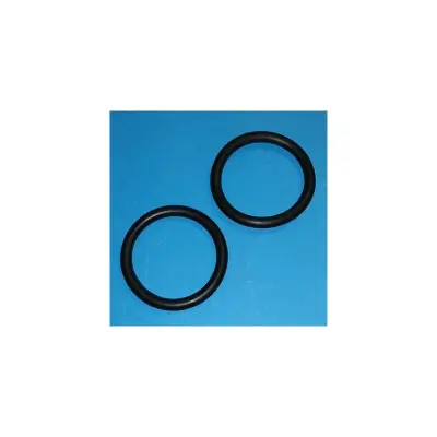 Kit de joints toriques de traversée 2" pour Filtre Saturne Ø750, Aster D.60x8 (x2) - Remplace FS16660-0415, 10