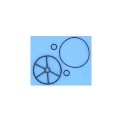 Kit joint étoile de vanne NM 1"1/2 FVT015 Saturne - Remplace PS610301, 4404120107SW, CE04120107, 101D572 (ASTR