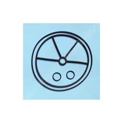 Kit joints Vanne 3" (ASTRAL)