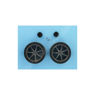 Kit petites roues (x2) (Pentair)