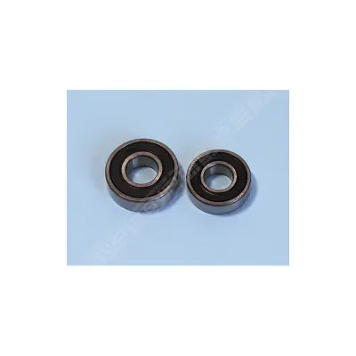 Kit roulement 6202+6203 moteur SF 2 (HAYWARD)