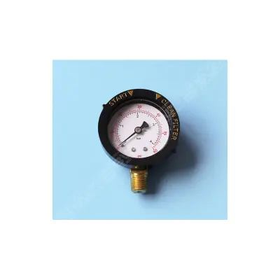 Manomètre 1/4' Filetage NPT VANNE TRITON Sup./TAG/AZUR - H-19-0058 (PENTAIR) - Remplace RU23920