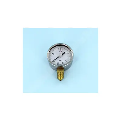 Manomètre pour filtre Triton NEO