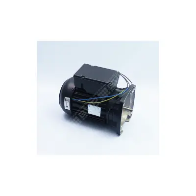 Moteur ppe Max-Flo II 2CV Mono - Remplace SPX1500M