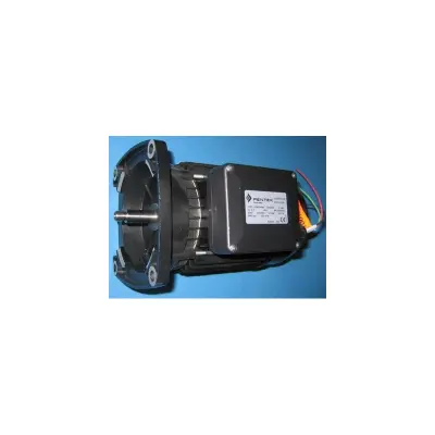 Moteur PPE (Ultraflow, Whisperflow, Superlfo) - 0,75 kW Tri - Remplace RA-E3 (PENTAIR)