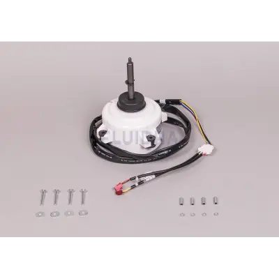 Moteur ventilateur Haut ou Bas - Remplace WTC03953 (ZODIAC)