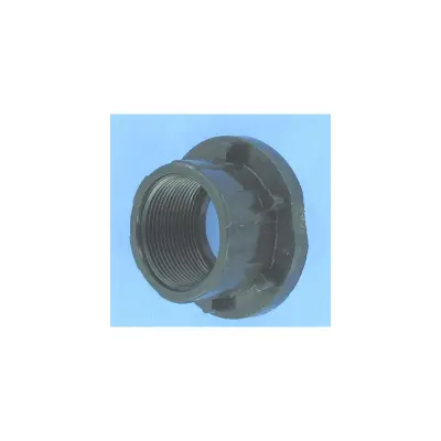 OBSOLETE Raccord union PPE HG 2"3/4 x 50 À visser (HYDROSWIM)