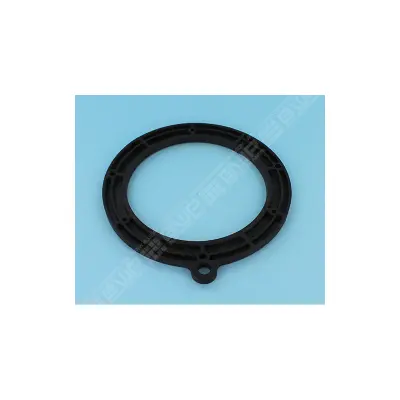Plaque PPE Challenger 1.10KW (PENTAIR)