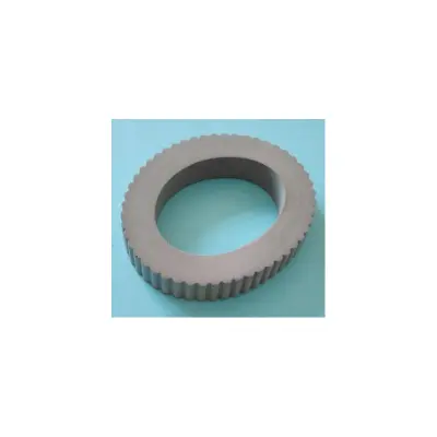 Pneu Mousse PVA - robot MAX+3 / R3 et MAX+5 / R5 - REMPLACE XW5000400