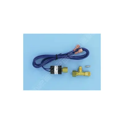 Pressostat BP R410A (HAYWARD)