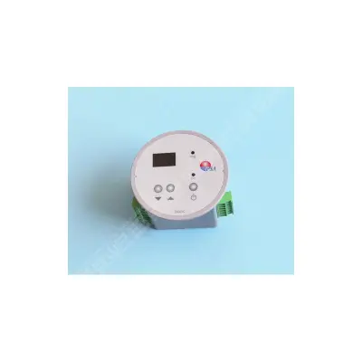 Régulateur temporisé EVX 402 (ex-ECP200) Sans la sonde (Zodiac)